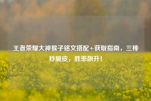 王者荣耀大神猴子铭文搭配+获取指南,三棒秒脆皮,胜率飙升!