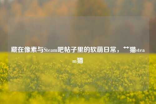 藏在像素与Steam吧帖子里的软萌日常,艹猫steam猫