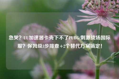 急哭?UU加速器卡壳下不了PUBG/***战场国际服?保姆级3步排查+2个替代方案搞定!