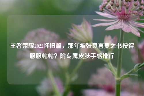 王者荣耀2022怀旧篇,那年被张良言灵之书按得服服帖帖?附专属皮肤手感排行