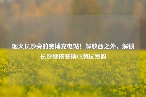 烟火长沙旁的赛博充电站!解放西之外,解锁长沙硬核赛博CS潮玩密码