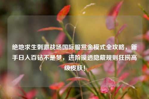 绝地求生***战场国际服赏金模式全攻略,新手日入百钻不是梦,进阶摸透隐藏规则狂捞高级皮肤!
