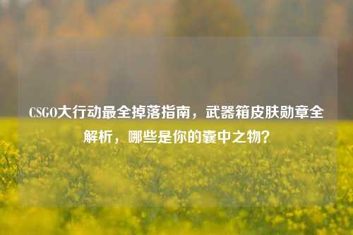 CSGO大行动最全掉落指南,武器箱皮肤勋章全解析,哪些是你的囊中之物?