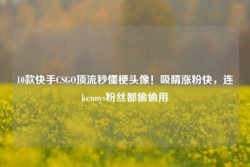 10款快手CSGO顶流秒懂梗头像!吸睛涨粉快,连kennys粉丝都偷偷用