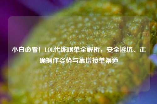 小白必看!LOL代练跟单全解析,安全避坑、正确操作姿势与靠谱接单渠道