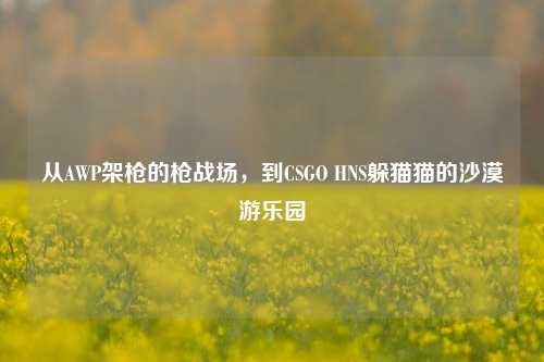 从AWP架枪的枪战场,到CSGO HNS躲猫猫的沙漠游乐园