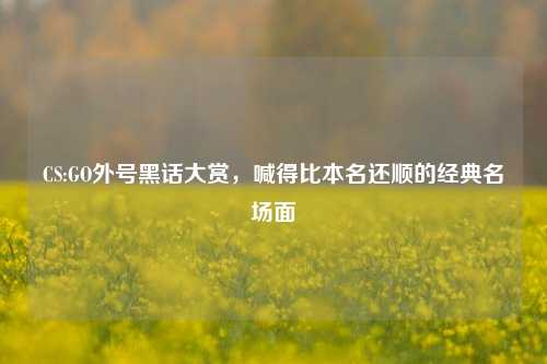 CS:GO外号黑话大赏,喊得比本名还顺的经典名场面