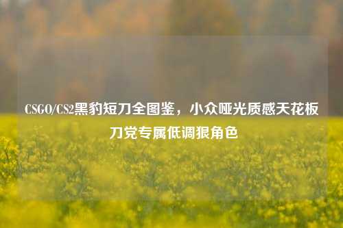 CSGO/CS2黑豹短刀全图鉴,小众哑光质感天花板 刀党专属低调狠角色