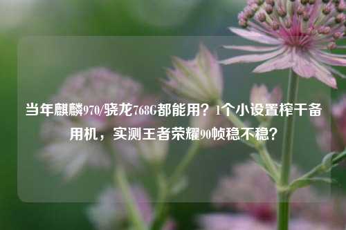 当年麒麟970/骁龙768G都能用?1个小设置榨干备用机,实测王者荣耀90帧稳不稳?