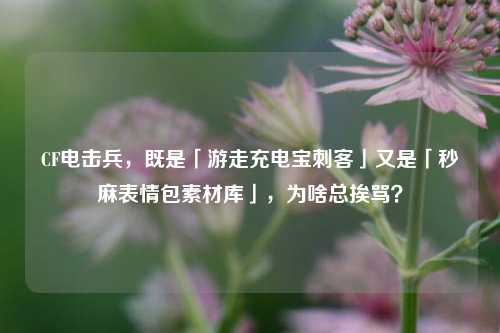 CF电击兵,既是「游走充电宝刺客」又是「秒麻表情包素材库」,为啥总挨骂?