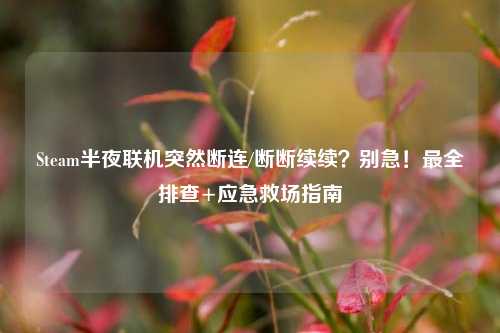 Steam半夜联机突然断连/断断续续?别急!最全排查+应急救场指南