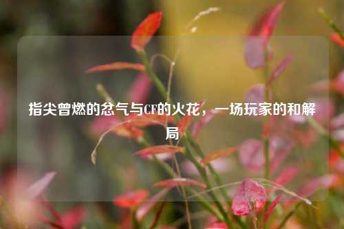 指尖曾燃的忿气与CF的火花,一场玩家的和解局