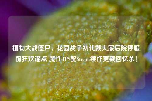 植物大战僵尸,花园战争初代戴夫家后院停服前狂欢锚点 魔性TPS配Steam续作更戳回忆杀!