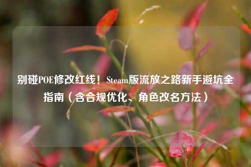 别碰POE修改红线!Steam版流放之路新手避坑全指南(含合规优化、角色改名 *** )