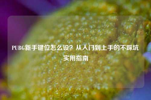 PUBG新手键位怎么设?从入门到上手的不踩坑实用指南