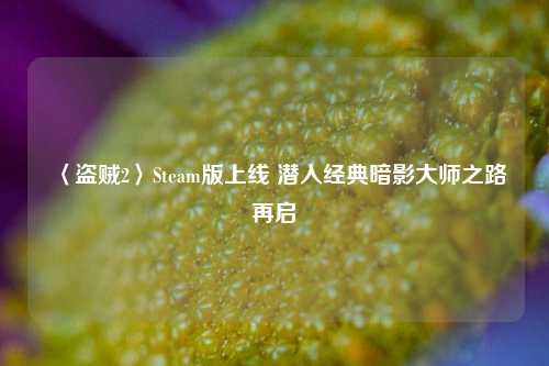〈盗贼2〉Steam版上线 潜入经典暗影***之路再启