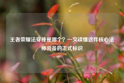 王者荣耀法穿棒是哪个?一文读懂这件核心法师装备的正式标识