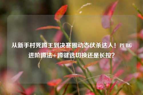从新手村死蹲王到决赛圈动态伏杀达人!PUBG进阶蹲法+蹲键选切换还是长按?