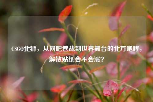 CSGO北狮,从网吧巷战到世界舞台的北方咆哮,解散贴纸会不会涨?