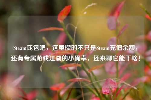Steam钱包吧,这里攒的不只是Steam充值余额,还有专属游戏江湖的小确幸,还来聊它能干啥!