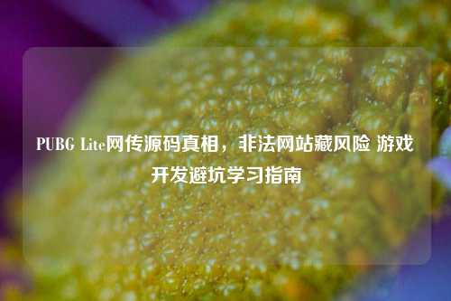 PUBG Lite网传源码真相,非法网站藏风险 游戏开发避坑学习指南