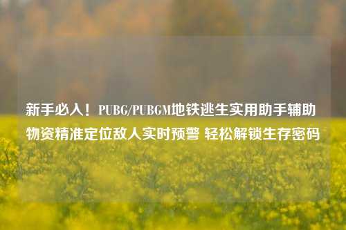 新手必入!PUBG/PUBGM地铁逃生实用助手辅助 物资精准定位敌人实时预警 轻松解锁生存密码
