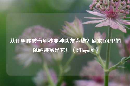 从开黑喊破音到秒变神队友声线?原来LOL里的隐藏装备是它!(附logo图)