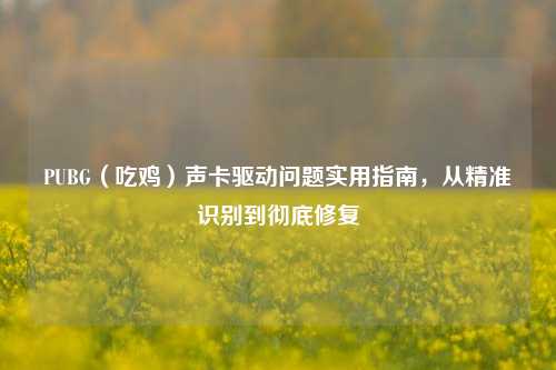 PUBG(吃鸡)声卡驱动问题实用指南,从精准识别到彻底修复