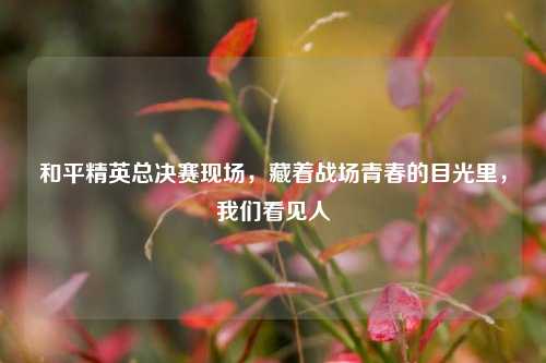 和平精英总决赛现场,藏着战场青春的目光里,我们看见人