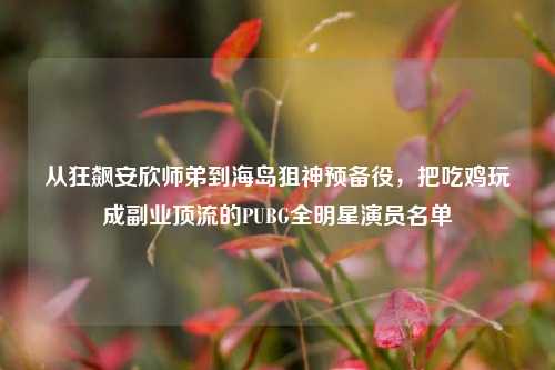 从狂飙安欣师弟到海岛狙神预备役,把吃鸡玩成副业顶流的PUBG全明星演员名单