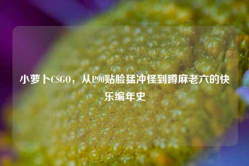 小萝卜CSGO,从P90贴脸猛冲怪到蹲麻老六的快乐编年史