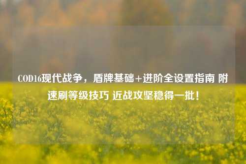 COD16现代战争,盾牌基础+进阶全设置指南 附速刷等级技巧 近战攻坚稳得一批!