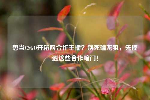 想当CSGO开箱网合作主播?别死磕龙狙,先摸透这些合作暗门!