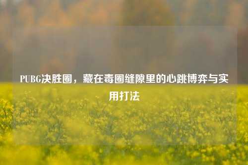 PUBG决胜圈,藏在毒圈缝隙里的心跳博弈与实用打法