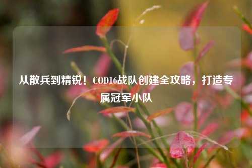 从散兵到精锐!COD16战队创建全攻略,打造专属冠军小队