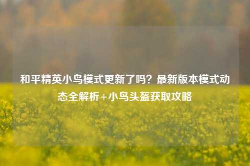 和平精英小鸟模式更新了吗?最新版本模式动态全解析+小鸟头盔获取攻略