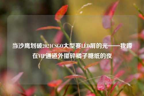当沙鹰划破2021CSGO大型赛LED屏的光——我蹲在VIP通道外攥碎橘子糖纸的夜