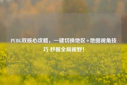 PUBG双核心攻略,一键切换地区+地图视角技巧 秒握全局视野!