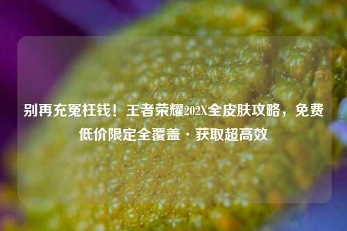 别再充冤枉钱!王者荣耀202X全皮肤攻略,免费低价限定全覆盖·获取超高效