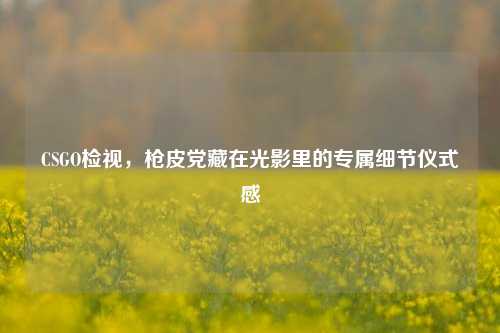 CSGO检视,枪皮党藏在光影里的专属细节仪式感