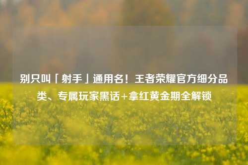 别只叫「射手」通用名!王者荣耀官方细分品类、专属玩家黑话+拿红黄金期全解锁