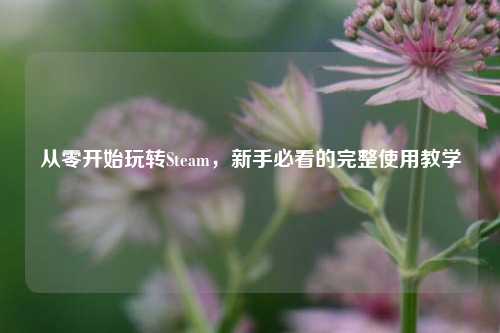 从零开始玩转Steam,新手必看的完整使用教学