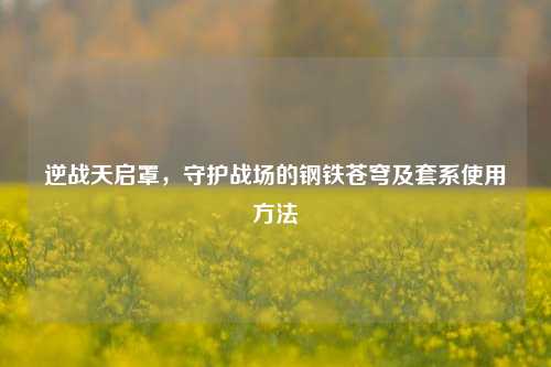 逆战天启罩,守护战场的钢铁苍穹及套系使用 ***