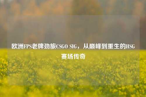欧洲FPS老牌劲旅CSGO SIG,从巅峰到重生的HSG赛场传奇