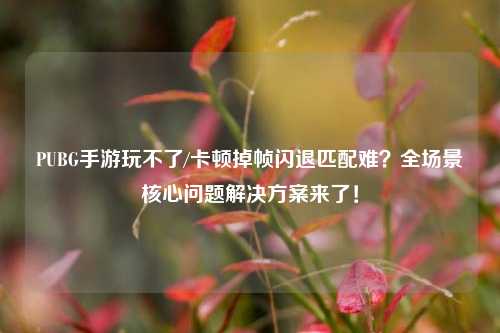 PUBG手游玩不了/卡顿掉帧闪退匹配难?全场景核心问题解决方案来了!