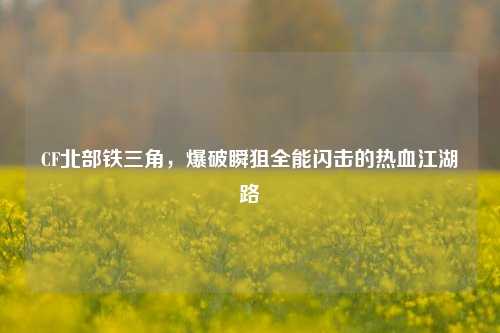 CF北部铁三角,爆破瞬狙全能闪击的热血江湖路