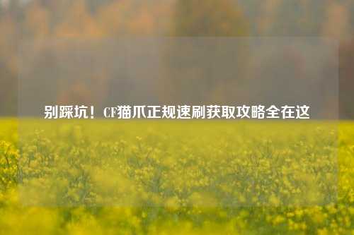 别踩坑!CF猫爪正规速刷获取攻略全在这