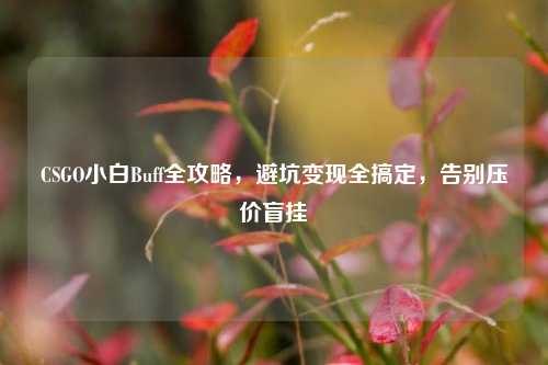 CSGO小白Buff全攻略,避坑变现全搞定,告别压价盲挂