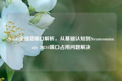 Steam全链路端口解析,从基础认知到Steamcommunity 30244端口占用问题解决