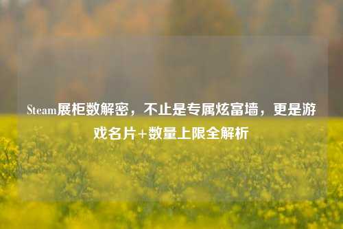 Steam展柜数解密,不止是专属炫富墙,更是游戏名片+数量上限全解析